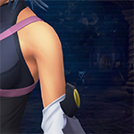 KH 0.2 BbS - Wardrobe Pieces - Arms - Default