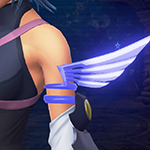 KH 0.2 BbS - Wardrobe Pieces - Arms - Flawless Arm Guards