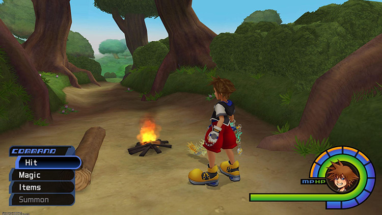 100 Acre Woods - Pooh’s House / KH1FM