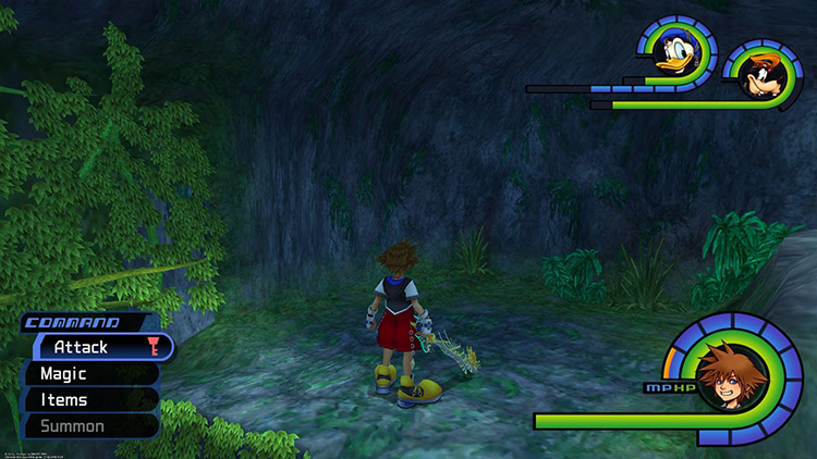 Deep Jungle: Waterfall Cavern / KH1.5